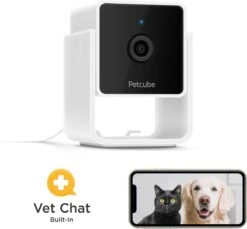 Petcube Pet Camera 1080p Hd Video Night Vision - IP Camera's - Wit -Huisdier Verkoop 1200x1111 2