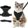 Nobleza Kattenharnas M Reflecterend Zwart Met Riem -Huisdier Verkoop 1200x1111 7