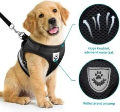 Hondentuig, Hondenharnas Met Hondenriem – Reflecterend - Zwart – Maat M (borst 35-40 Cm) -Huisdier Verkoop 1200x1113
