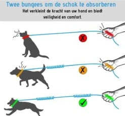 Oak's First Elastische En Diervriendelijke Looplijn Met Heupriem - Hondenriem - 150cm/210cm - Grijs 12 Oak's First Elastische En Diervriendelijke Looplijn Met Heupriem - Hondenriem - 150cm/210cm - Grijs -Huisdier Verkoop 1200x1114