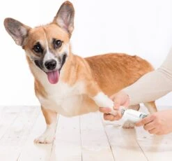 Auronic Elektrische Nagelvijl - Voor Dieren - Oplaadbaar - Draadloos - Diamant Vijlkop - Hond/Katten - Wit 18 Auronic Elektrische Nagelvijl - Voor Dieren - Oplaadbaar - Draadloos - Diamant Vijlkop - Hond/Katten - Wit -Huisdier Verkoop 1200x1115 1