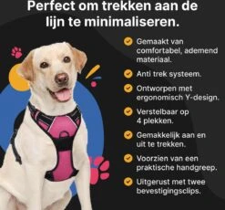 Hondentuig - Hondenharnas - Hondenriem - Anti Trek - Autogordel Hond - Zwart - Maat S 13 Hondentuig - Hondenharnas - Hondenriem - Anti Trek - Autogordel Hond - Zwart - Maat S -Huisdier Verkoop 1200x1116 4