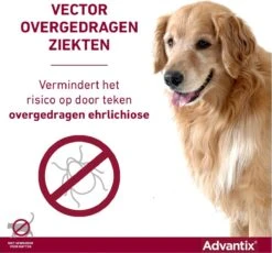 Bayer Advantix Spot-on 400/2000 25+ Kg - 4 Pipetten -Huisdier Verkoop 1200x1117 11