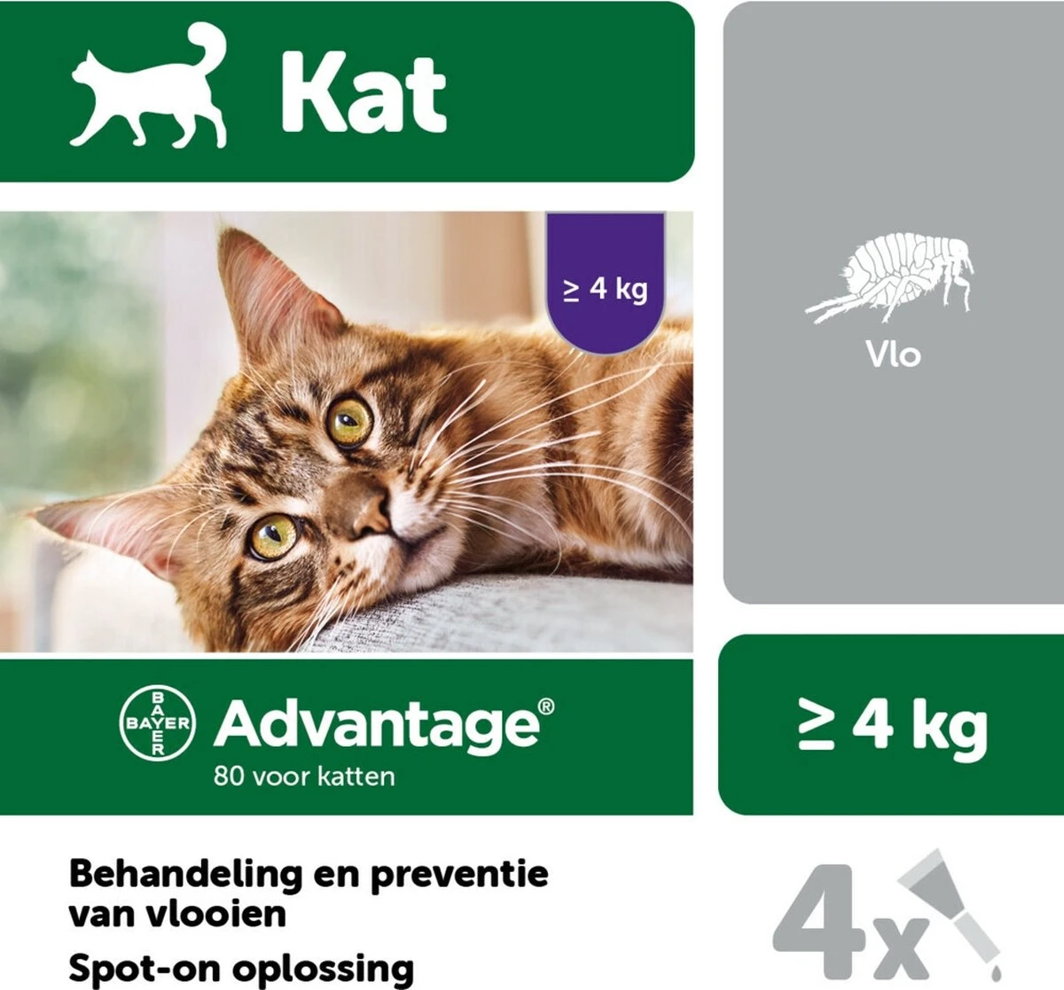 Bayer Anti Vlooienmiddel Advantage 80 > 4 Kg - 4 X 0,8 Ml 6 Bayer Anti Vlooienmiddel Advantage 80 > 4 Kg - 4 X 0,8 Ml - Afbeelding 4