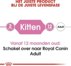 Royal Canin Kitten - Kittenvoer - 2 Kg 26 Royal Canin Kitten - Kittenvoer - 2 Kg -Huisdier Verkoop 1200x1117 19
