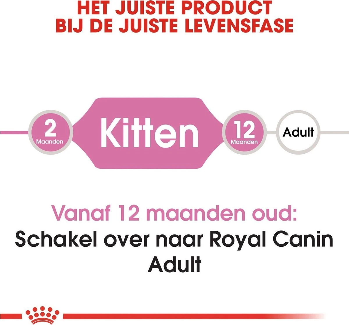 Royal Canin Kitten - Kittenvoer - 2 Kg 7 Royal Canin Kitten - Kittenvoer - 2 Kg - Afbeelding 5