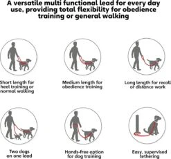 Company Of Animals Halti Trainingslijn - Large - 2 Meter - Verstelbaar - Zwart -Huisdier Verkoop 1200x1119
