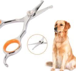 Merkloos Premium Gebogen Trimschaar Honden - Huisdier Trimmen - Hoofd, Poten Ogen & Oren - Kat & Hond Knippen - Veilige Schaar 14 Merkloos Premium Gebogen Trimschaar Honden - Huisdier Trimmen - Hoofd, Poten Ogen & Oren - Kat & Hond Knippen - Veilige Schaar -Huisdier Verkoop 1200x1120 4