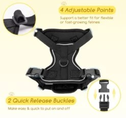 Nobleza Kattenharnas M Reflecterend Zwart Met Riem -Huisdier Verkoop 1200x1121 13
