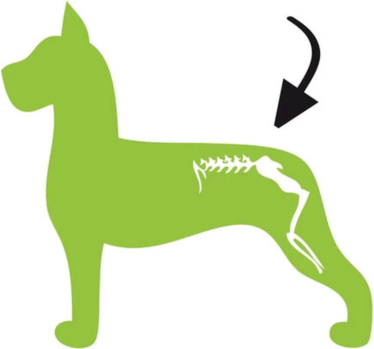 MSM En Glucosamine Gewricht Soepel Voor Honden 250 Ml 4 MSM En Glucosamine Gewricht Soepel Voor Honden 250 Ml - Afbeelding 2