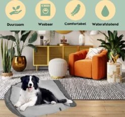 Bolobo | Hondenslaapzak - Dierenslaapzak - Hondencave - Hondenmand Cave - Cozy Cave - Slaapzak Hond - Hondenmand - Hondenkussen - Travelbag - Dentalsticks - Kampeerslaapzak -Huisdier Verkoop 1200x1125 10