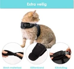 Kattentuigje Met Leiband Riem Kattenharnas Geel Maat L Kat & Kitten - Dieren Kattenriem - Cat Leash - Halsomvang 24 Tot 33cm - Borstomvang 36 Tot 41cm - Zootic® -Huisdier Verkoop 1200x1126 9