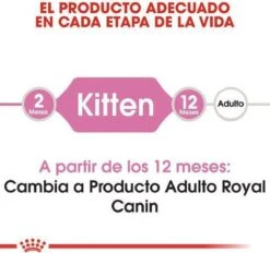 Royal Canin Kitten - Kittenvoer - 2 Kg 31 Royal Canin Kitten - Kittenvoer - 2 Kg -Huisdier Verkoop 1200x1127 10