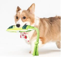 Merkloos Hondenspeelgoed - Piepspeelgoed - Trekspeeltje - Chocobruin 7 Merkloos Hondenspeelgoed - Piepspeelgoed - Trekspeeltje - Chocobruin -Huisdier Verkoop 1200x1127 5