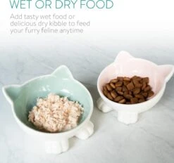 Navaris Voerbakjes Voor Katten - Set Van 2 Voer- En Waterbakken - Etensbak Van Keramiek - Met Antislip Voetjes - Kattenvorm - Roze/Groen 12 Navaris Voerbakjes Voor Katten - Set Van 2 Voer- En Waterbakken - Etensbak Van Keramiek - Met Antislip Voetjes - Kattenvorm - Roze/Groen -Huisdier Verkoop 1200x1128 14