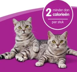 Whiskas Dentabites Kattensnoepjes - Kip - 8 X 40g -Huisdier Verkoop 1200x1129 9