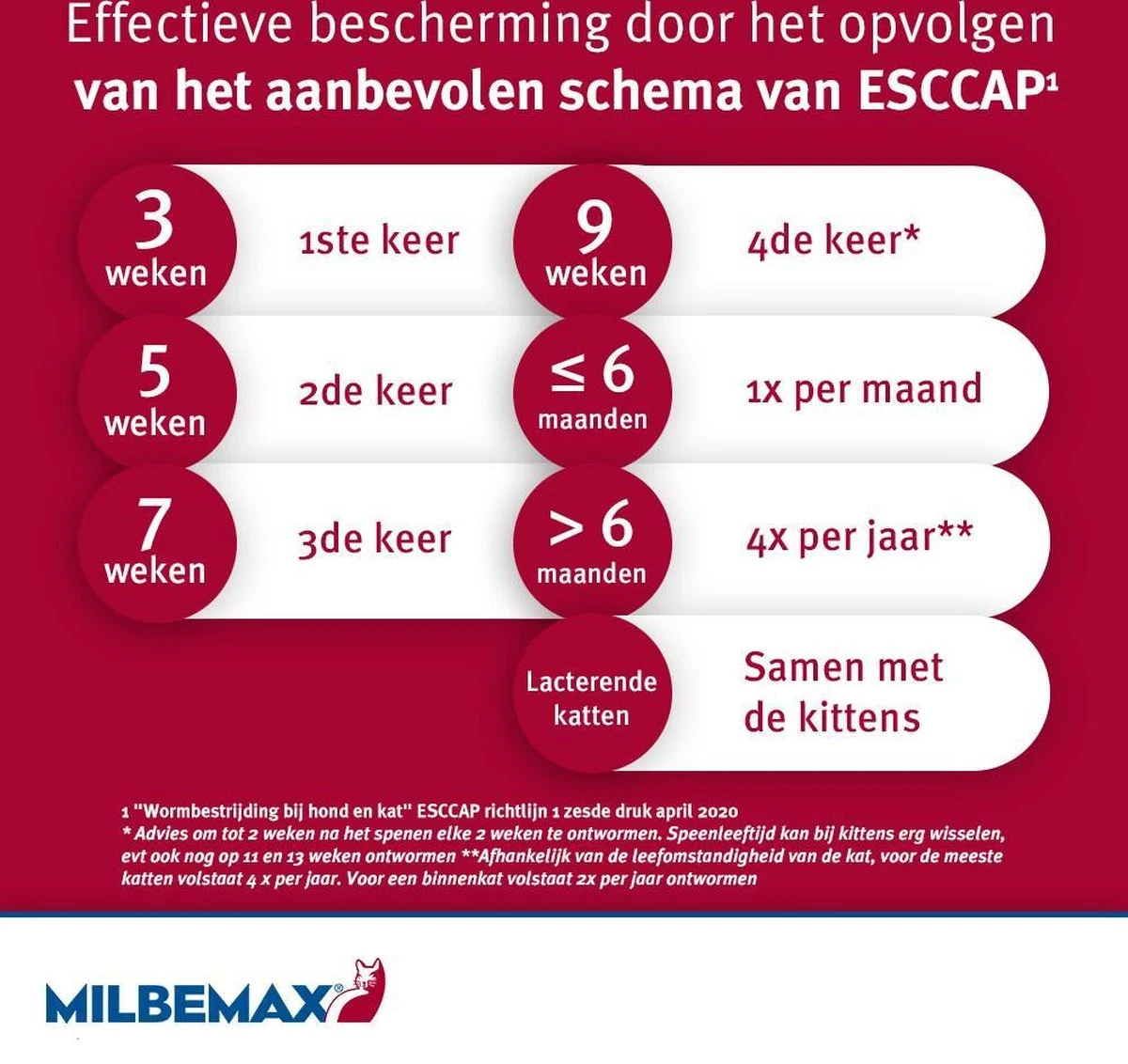 Elanco Milbemax Kitten & Kat - Anti Wormenmiddel - 2 Tab 0.5 Tot 2 Kg 5 Elanco Milbemax Kitten & Kat - Anti Wormenmiddel - 2 Tab 0.5 Tot 2 Kg - Afbeelding 3