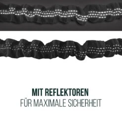 Happilax Joggingriem Voor Honden, Elastische En Reflecterende Hondenriem Voor Joggen Met Buikband, 100-160 Cm 10 Happilax Joggingriem Voor Honden, Elastische En Reflecterende Hondenriem Voor Joggen Met Buikband, 100-160 Cm -Huisdier Verkoop 1200x1133 1