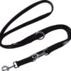 DDOXX Hondenriem Air Mesh, 3-voudig Verstelbaar, 2m | Voor Kleine & Grote Honden | Dubbele Riem Twee Honden Kat Puppy | Tug Leash Large | Lead Leash Small | Walking Leash Puppy Leash | Zwart, M 2 DDOXX Hondenriem Air Mesh, 3-voudig Verstelbaar, 2m | Voor Kleine & Grote Honden | Dubbele Riem Twee Honden Kat Puppy | Tug Leash Large | Lead Leash Small | Walking Leash Puppy Leash | Zwart, M -Huisdier Verkoop 1200x1133