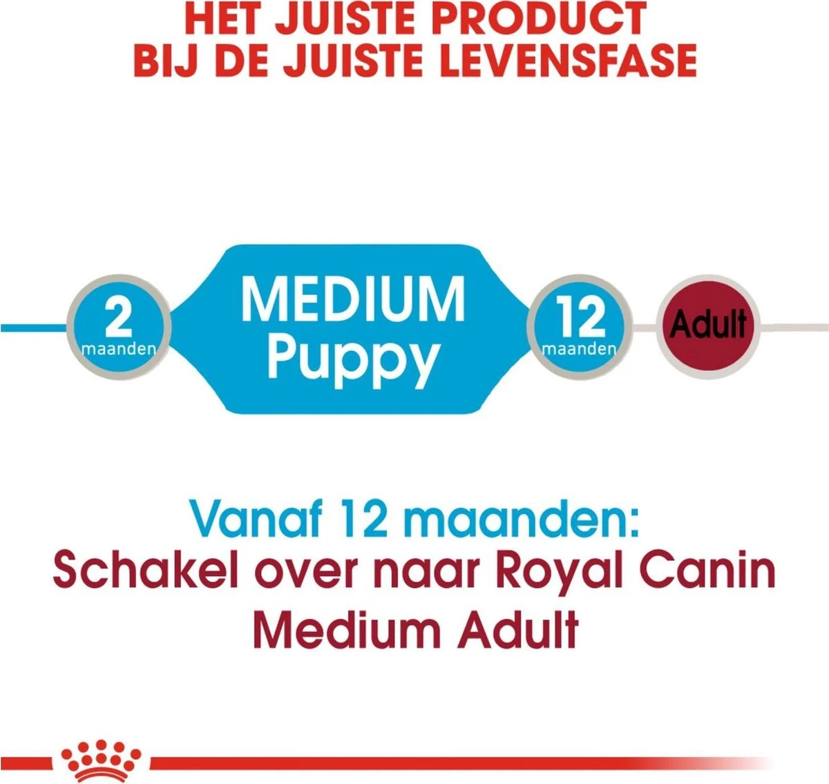 Royal Canin Shn Medium Puppy Pouch - Hondenvoer - 10 X 140 G 12 Royal Canin Shn Medium Puppy Pouch - Hondenvoer - 10 X 140 G - Afbeelding 10