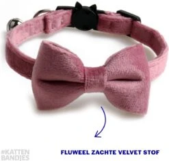 Kattenhalsband Velvet Met Strik | Halsband Kat | Kattenband Velours | Kattenbandje Velvet Met Strik, Veiligheidssluiting En Belletje In Roze 11 Kattenhalsband Velvet Met Strik | Halsband Kat | Kattenband Velours | Kattenbandje Velvet Met Strik, Veiligheidssluiting En Belletje In Roze -Huisdier Verkoop 1200x1141 10