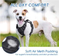 Nobleza 42ZHY - Hondenharnas - Hondentuigje - Anti Trek - L - Zwart -Huisdier Verkoop 1200x1141 4