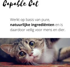 Capable Cat Vlooienband Kat | Vlooien | Luizen | Teken | Mijten | 8 Maanden Bescherming | Katten 13 Capable Cat Vlooienband Kat | Vlooien | Luizen | Teken | Mijten | 8 Maanden Bescherming | Katten -Huisdier Verkoop 1200x1142 20