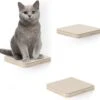 Navaris Katten Klimmuur 3 Tredes - 18 X 18 X 1,5 Cm Per Plankje - Katten Klimwand Van Hout - Inclusief Bevestigingsmateriaal 1 Navaris Katten Klimmuur 3 Tredes - 18 X 18 X 1,5 Cm Per Plankje - Katten Klimwand Van Hout - Inclusief Bevestigingsmateriaal -Huisdier Verkoop 1200x1142 23
