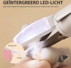 Professionele Oplaadbare LED Licht Nagelknipper, Hond, Kat, Knaagdier, Huisdieren | Dog, Cat, Nail Clipper LED Light, Rechargeable, USB Kabel | Nagelvijl - Nagelschaar Met Vijl, Opvang Van Nagels | Vergrootglas 5x | Extreem Veilig & 100% Effectief -Huisdier Verkoop 1200x1143 6