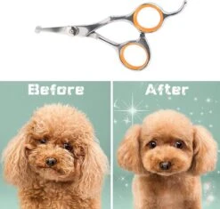Merkloos Premium Gebogen Trimschaar Honden - Huisdier Trimmen - Hoofd, Poten Ogen & Oren - Kat & Hond Knippen - Veilige Schaar 15 Merkloos Premium Gebogen Trimschaar Honden - Huisdier Trimmen - Hoofd, Poten Ogen & Oren - Kat & Hond Knippen - Veilige Schaar -Huisdier Verkoop 1200x1144 1