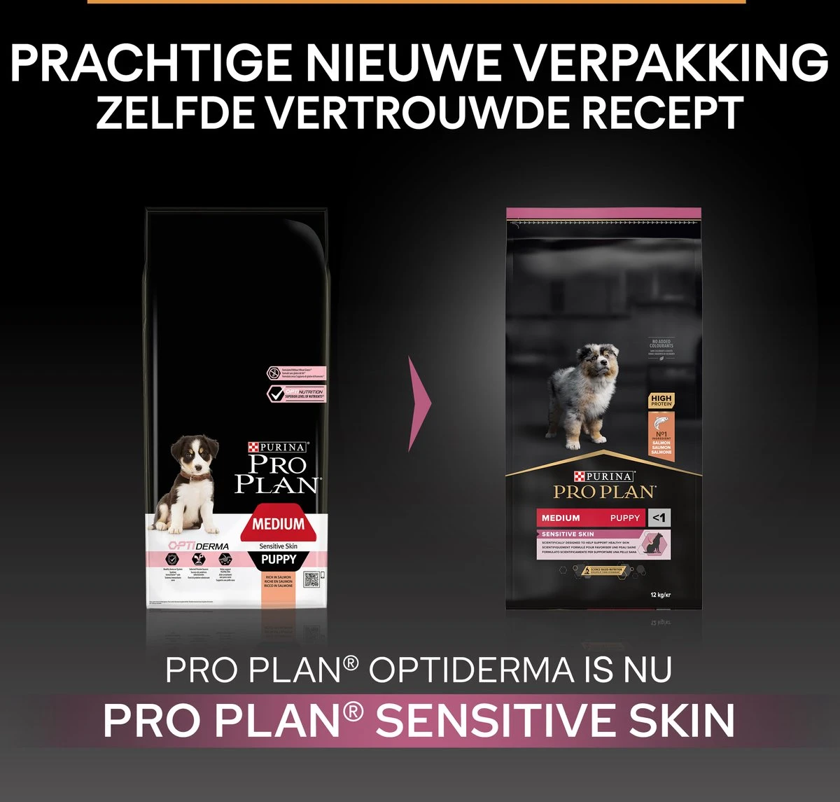 Pro Plan Medium Puppy Sensitive Skin - Honden Droogvoer - Zalm - 12 Kg 5 Pro Plan Medium Puppy Sensitive Skin - Honden Droogvoer - Zalm - 12 Kg - Afbeelding 3