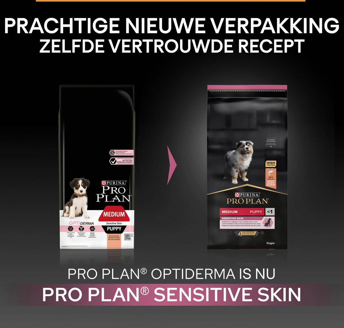 Pro Plan Medium Puppy Sensitive Skin - Honden Droogvoer - Zalm - 12 Kg 7 Pro Plan Medium Puppy Sensitive Skin - Honden Droogvoer - Zalm - 12 Kg - Afbeelding 5