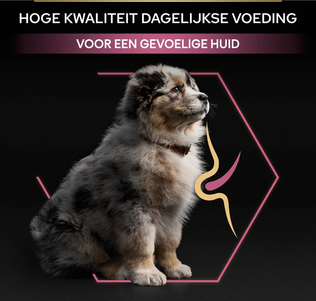 Pro Plan Medium Puppy Sensitive Skin - Honden Droogvoer - Zalm - 12 Kg 14 Pro Plan Medium Puppy Sensitive Skin - Honden Droogvoer - Zalm - 12 Kg - Afbeelding 12
