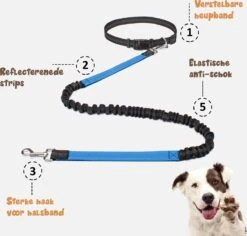 Hardloopriem Hond – Honden Riem Handsfree – Hardlopen Met Hond – 160-260 Cm Blauw - Hardloopband Hond – Halsband Hond – Hondenlijn – Leiband Hond -Huisdier Verkoop 1200x1146