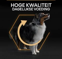 Pro Plan Medium Adult Everyay Nutrition - Honden Droogvoer - Kip - 14 Kg -Huisdier Verkoop 1200x1147 13