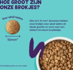 Edgard & Cooper Kattenvoer Adult Zalm 4 Kg -Huisdier Verkoop 1200x1149 9