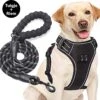 Filo Anti Trek Hondentuig L Met Hondenriem - Y Tuig Hond - Easy Walk Hondenharnas Large + Hondenlijn - Hondentuigje Verstelbaar - Leiband - Honden Tuigje - Riem -Huisdier Verkoop 1200x1152 4