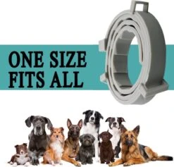 Igoods Vlooienband Hond - Vlooienband Kat - Alle Honden & Katten - One Size Fits All - Anti Vlooien En Tekenmiddel - Tekenband - 8 Maanden Bescherming - Diervriendelijk - Oranje 14 Igoods Vlooienband Hond - Vlooienband Kat - Alle Honden & Katten - One Size Fits All - Anti Vlooien En Tekenmiddel - Tekenband - 8 Maanden Bescherming - Diervriendelijk - Oranje -Huisdier Verkoop 1200x1152 8