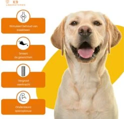 K9 Laboratories - 3 Delig Voordeel Pakket - Gewricht & Heup - 180 Stuks - Voor Honden - Met Artrose - Moeite Met Opstaan - Mankheid - HD - ED - Gewrichtsklachten - Bevat Glucosamine - MSM - Chondorïtine - Groenlipmossel -Huisdier Verkoop 1200x1153 17
