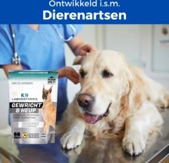 K9 Laboratories Gewricht & Heup 40+ Kg - 60 Stuks - Voor Grote Honden - Collageen - Glucosamine - Spirulina - Groenlipmossel -Huisdier Verkoop 1200x1155 13