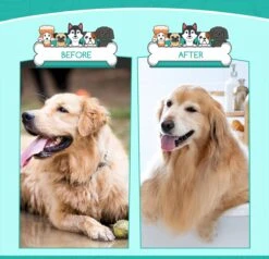 Nobleza 3 Delige Hondenborstel Set – Hondenkam - Kattenkam - Borstels – Dierverzorging - Dierenverzorging - Blauw 12 Nobleza 3 Delige Hondenborstel Set – Hondenkam - Kattenkam - Borstels – Dierverzorging - Dierenverzorging - Blauw -Huisdier Verkoop 1200x1157