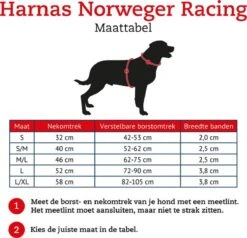 Hunter Harnas Norweger Racing - Hondentuig - Bruin/Cognac - M - 52-62 X 2.5 Cm -Huisdier Verkoop 1200x1158 5