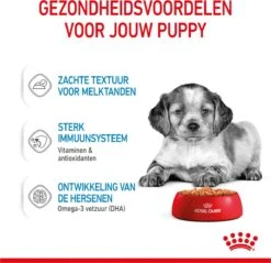 Royal Canin Shn Medium Puppy Pouch - Hondenvoer - 10 X 140 G 25 Royal Canin Shn Medium Puppy Pouch - Hondenvoer - 10 X 140 G -Huisdier Verkoop 1200x1159 14