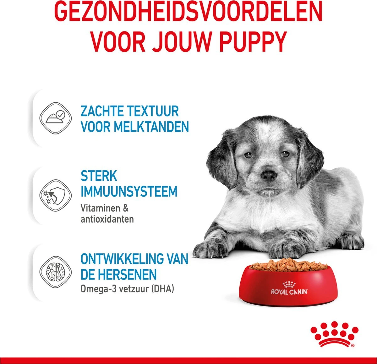 Royal Canin Shn Medium Puppy Pouch - Hondenvoer - 10 X 140 G 7 Royal Canin Shn Medium Puppy Pouch - Hondenvoer - 10 X 140 G - Afbeelding 5