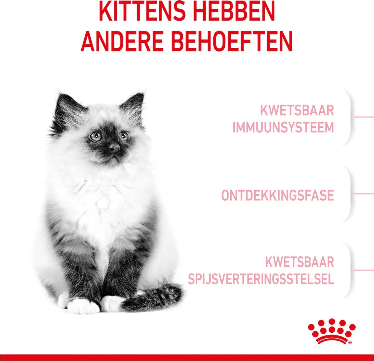 Royal Canin Kitten - Kittenvoer - 2 Kg 6 Royal Canin Kitten - Kittenvoer - 2 Kg - Afbeelding 4