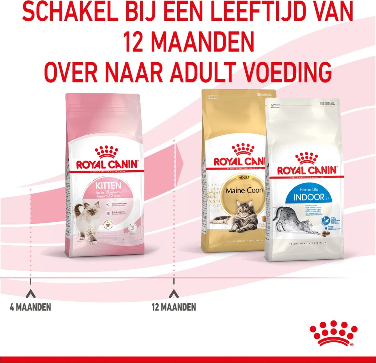 Royal Canin Kitten - Kittenvoer - 2 Kg 13 Royal Canin Kitten - Kittenvoer - 2 Kg - Afbeelding 11
