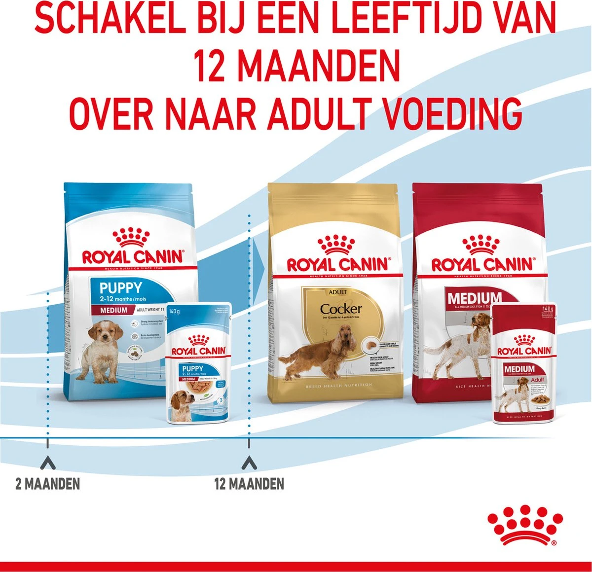 Royal Canin Shn Medium Puppy Pouch - Hondenvoer - 10 X 140 G 13 Royal Canin Shn Medium Puppy Pouch - Hondenvoer - 10 X 140 G - Afbeelding 11
