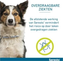 Seresto Vlooien En Tekenband - Kleine Hond - 0 Tot 8 Kg 41 Seresto Vlooien En Tekenband - Kleine Hond - 0 Tot 8 Kg -Huisdier Verkoop 1200x1160 16