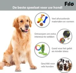 Filo Honden Speelgoed Set 14 Stuks - Hondenspeeltjes Knuffel - Hondenbal - Flostouw - Bot - Frisbee - Hondentouw - Hondenspeelgoed Intelligentie - Kauwspeelgoed Hond En Puppy - Bijtspeelgoed Hondenknuffel - Hondenspeeltje Met Piep -Huisdier Verkoop 1200x1160 20