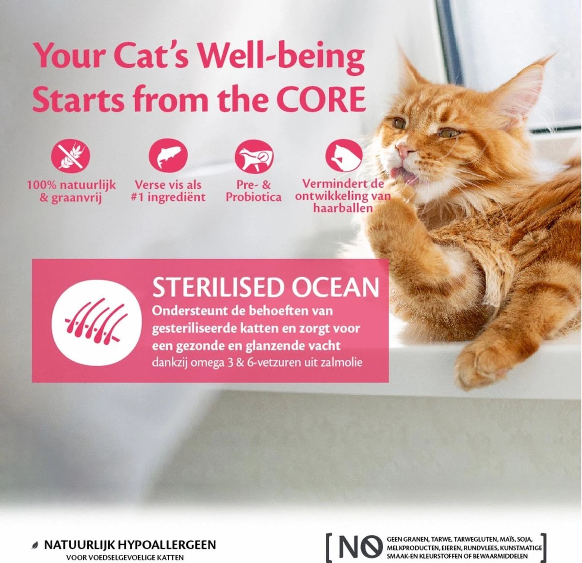 Wellness Core Kattenvoer Sterilised Zalm 4 Kg 7 Wellness Core Kattenvoer Sterilised Zalm 4 Kg - Afbeelding 5